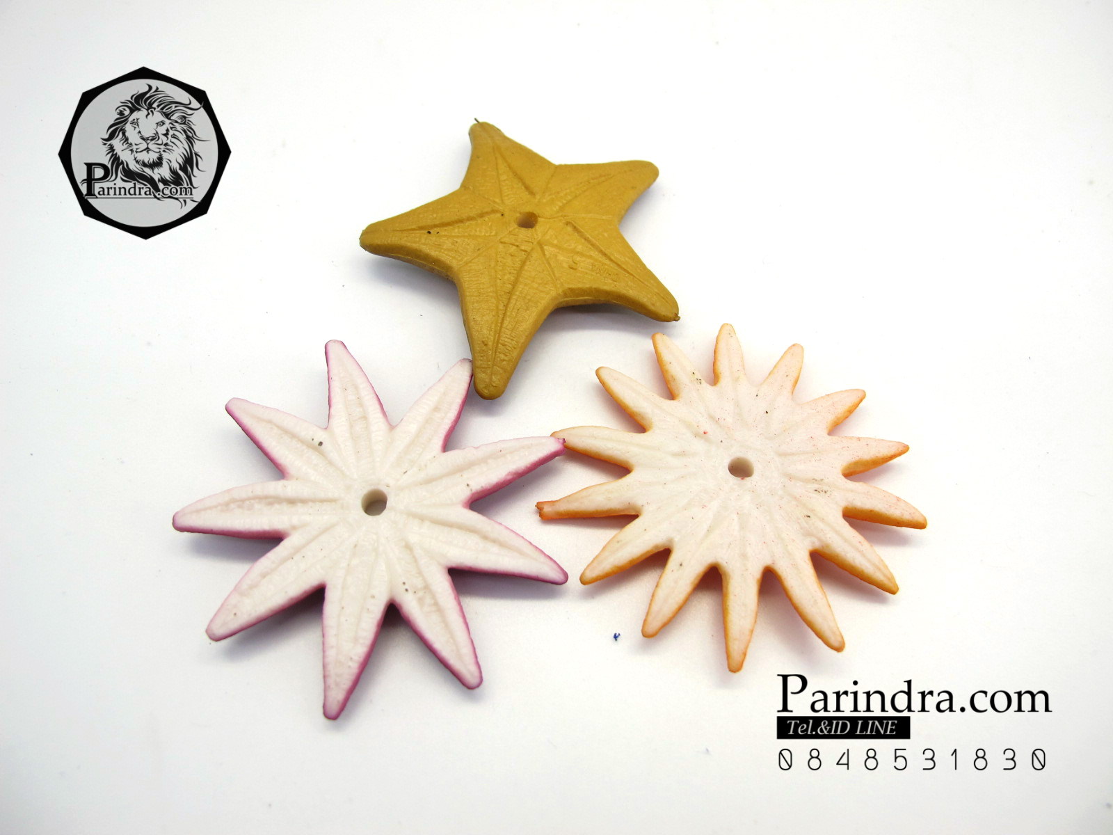 โมเดลดาวทะเลชุด Educational Toys Sea Star Fish