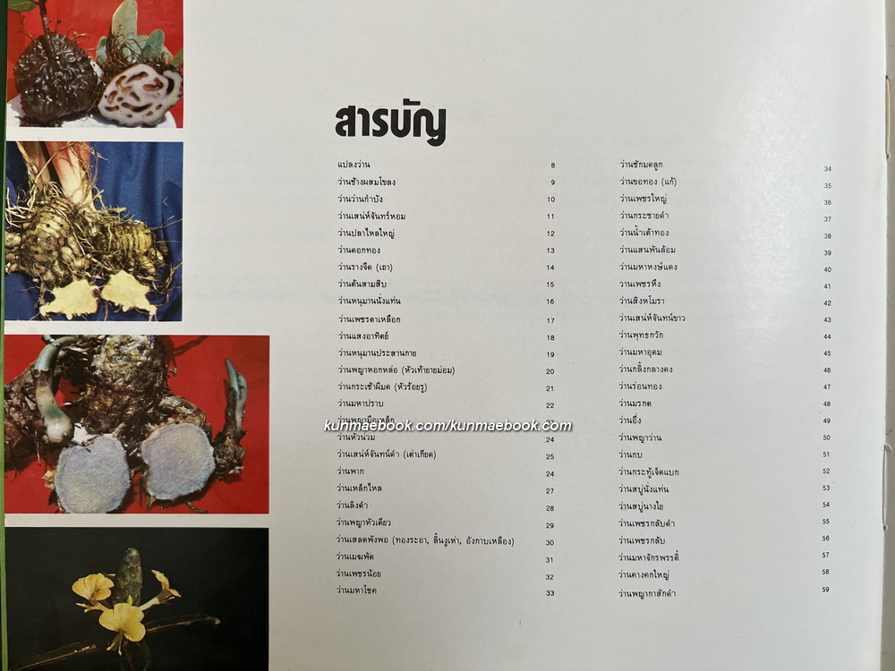 ตะลุยดงว่าน ค้นคว้าและบันทึกภาพโดย เชษฐา