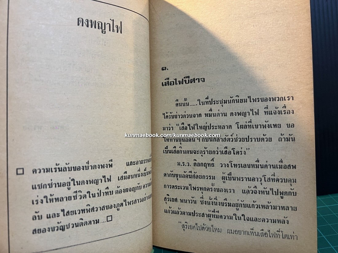 ดงพญาไฟ ผลงานของ ชาลี เอี่ยมกระสินธุ์