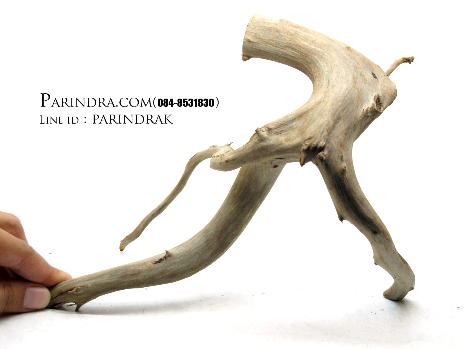 ขอนไม้ตกแต่งตู้ปลาหรือใช้เลี้ยงสัตว์เลื้อยคลาน 003