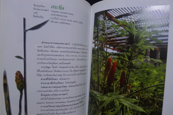 อนุสรณ์ในงานพระราชทานเพลิงศพ นางเรียง หนุนภักดี