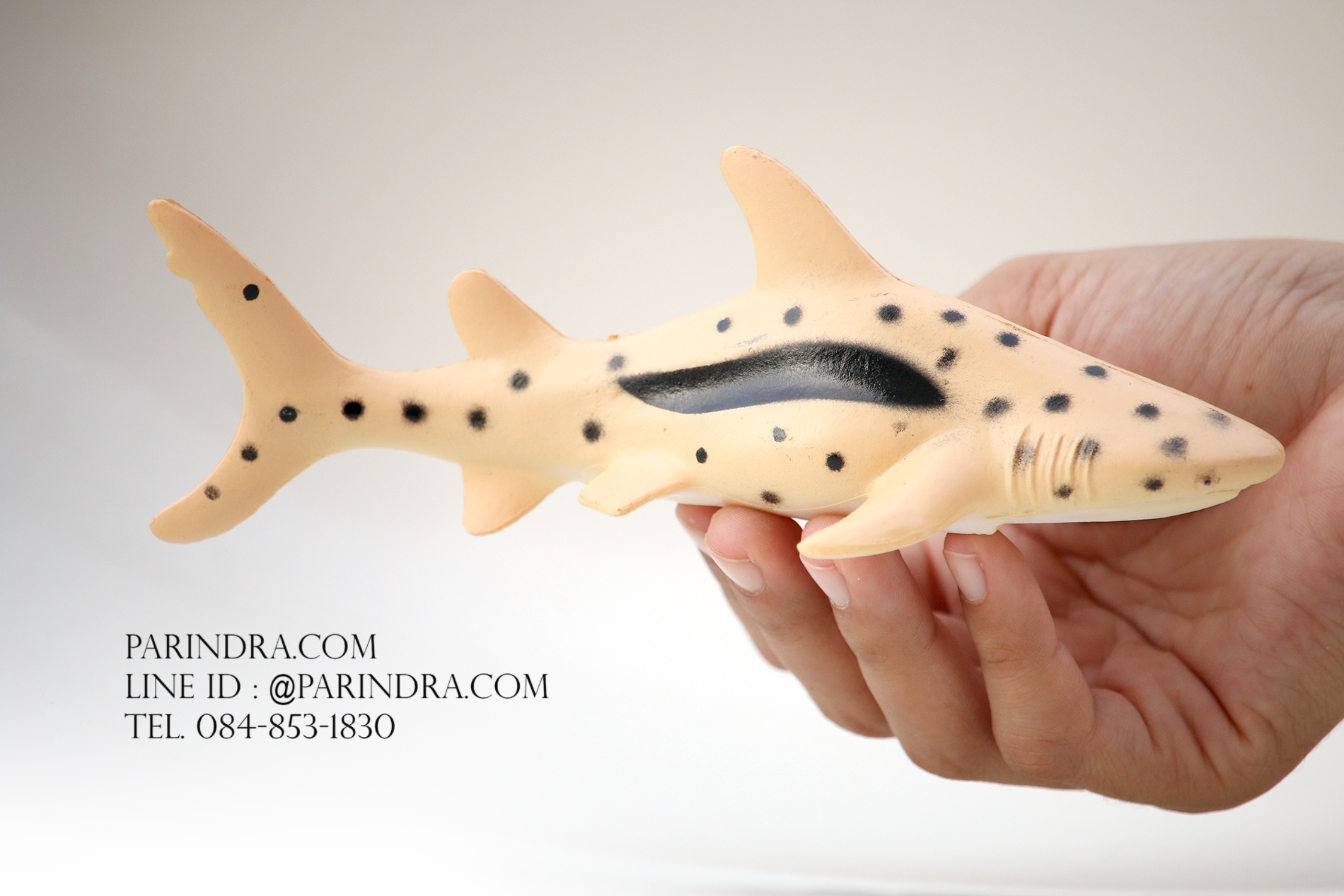 โมเดลสัตว์ทะเล ชุด Ocean World กลุ่มปลาฉลามหลากหลายสายพันธุ์