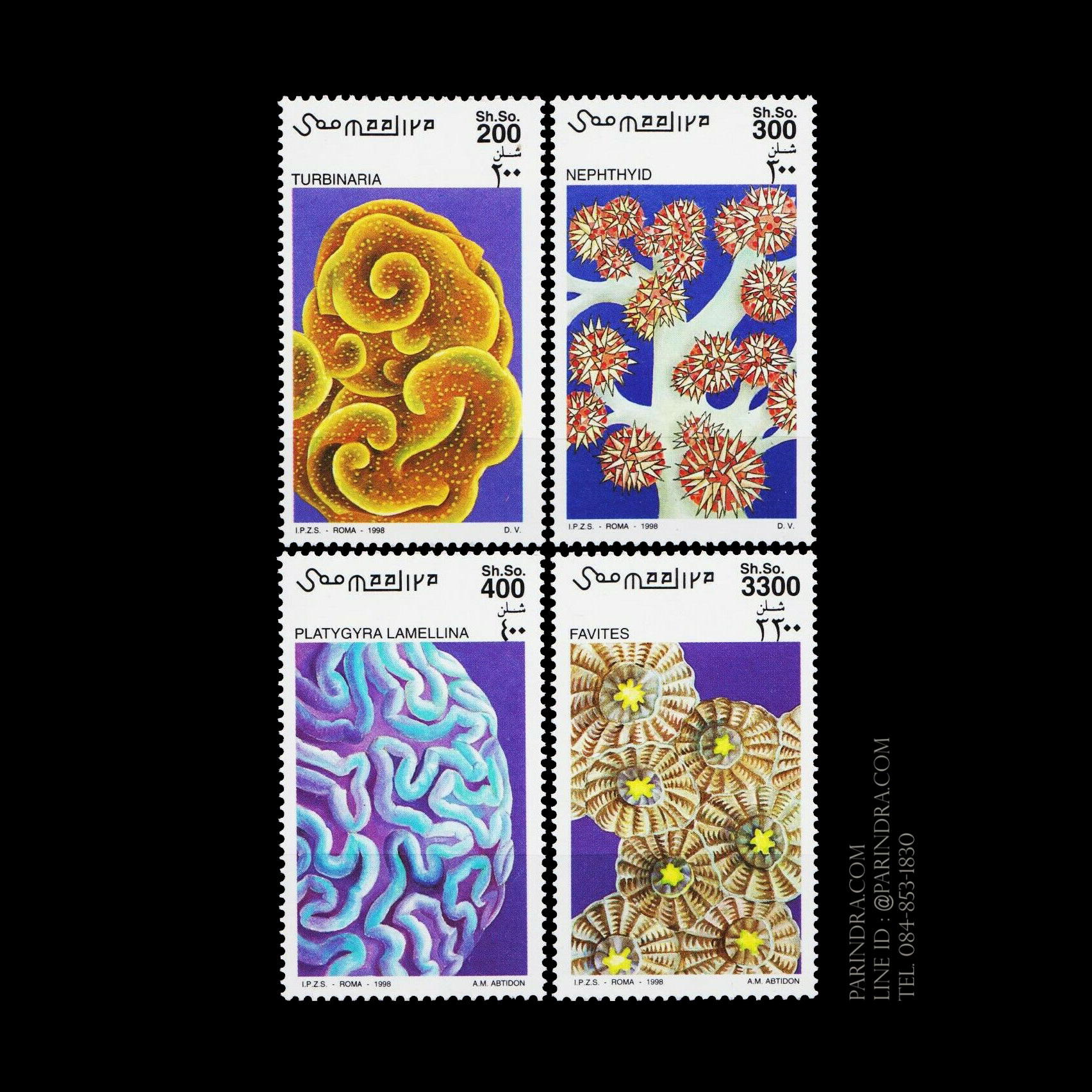 แสตมป์โซมาเลีย ชุด MARINE ANIMALS - CORALS ดอกไม้ทะเลและปะการัง ในโซมาเลีย ปี 1998 - SOMALIA