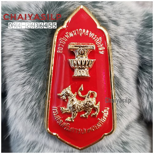 เข็มวิทยะฐานะ สถาบันพัฒนาบุคลากรท้องถิ่น (สพบ.)