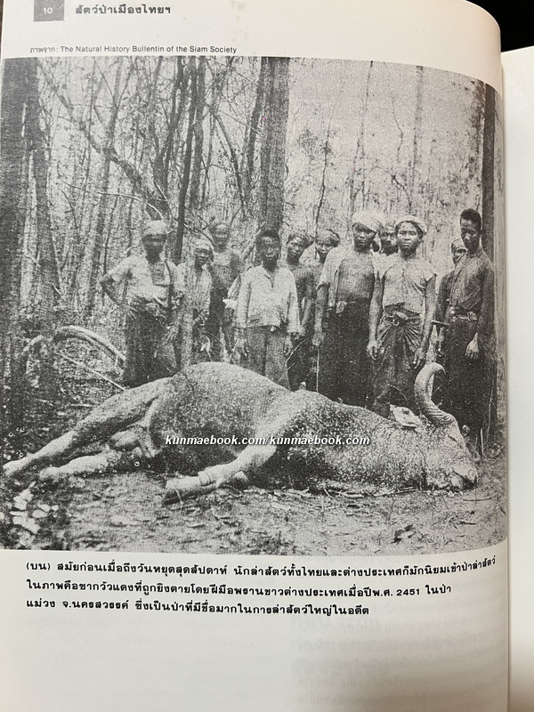 สารคดีฉบับพิเศษ 3 : สัตว์ป่าเมืองไทยก่อนจะเหลือเพียงความทรงจำ