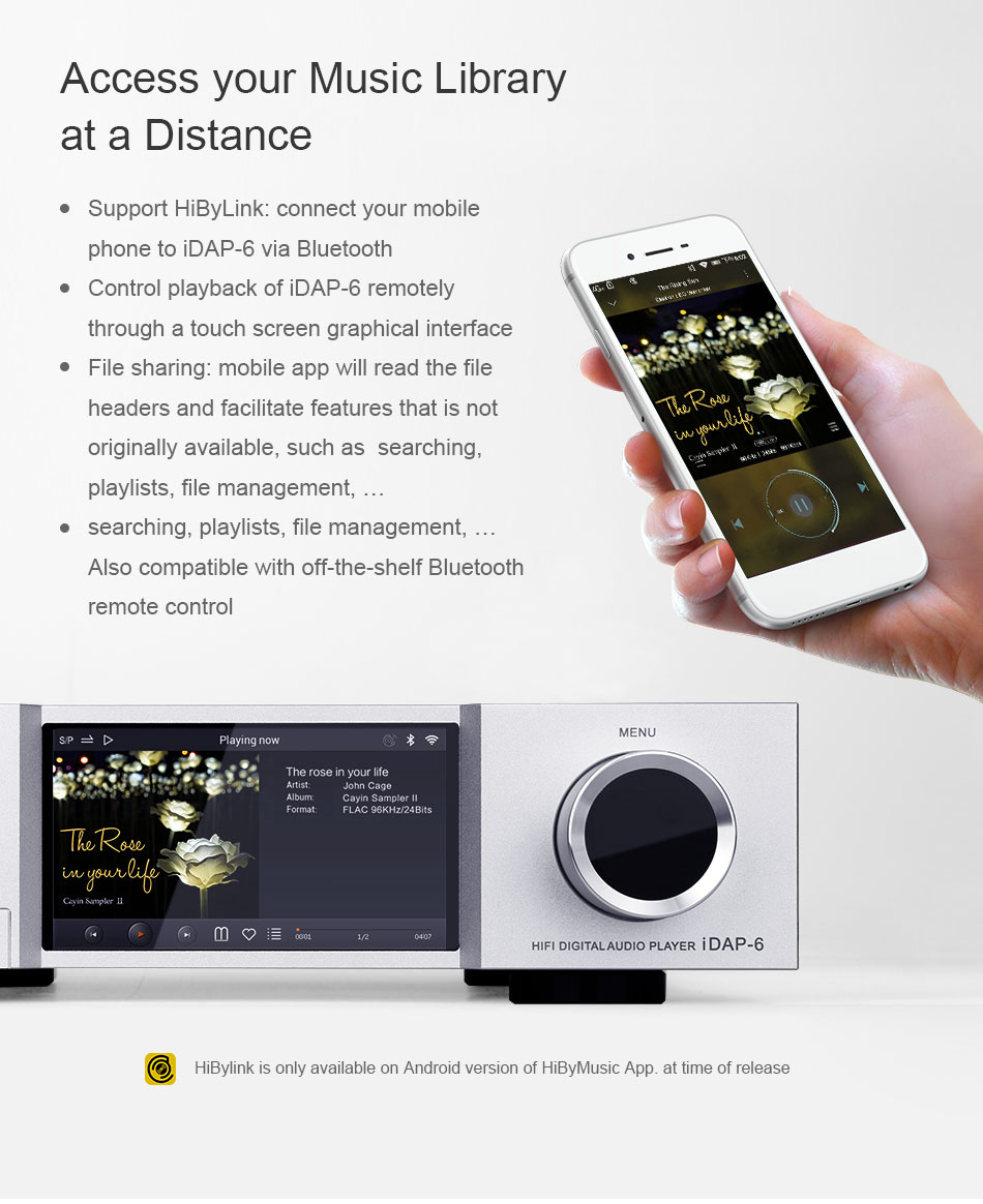ขาย Cayin IDAP-6 Desktop network player