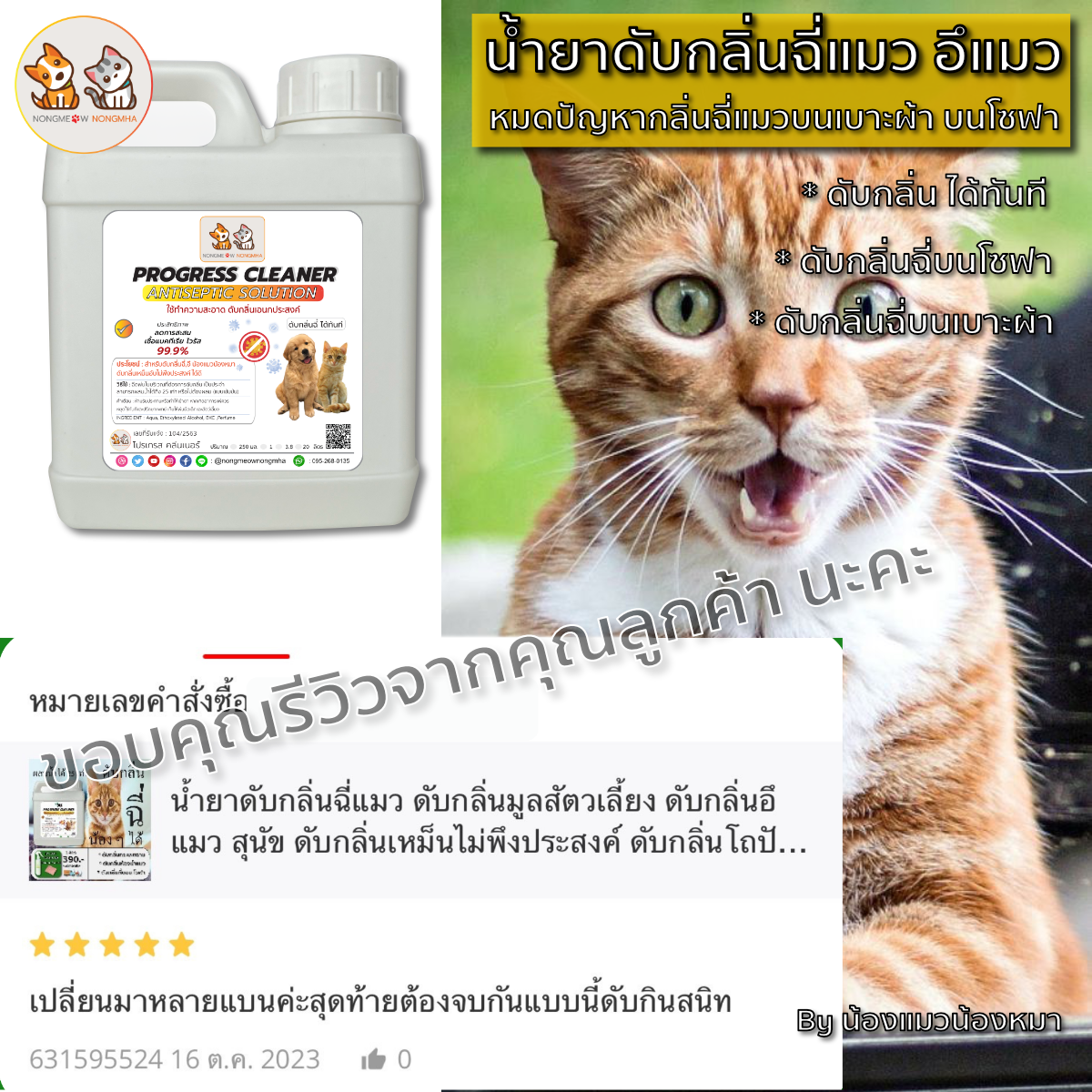 สเปรย์น้ำยาดับกลิ่นฉี่แมว ดับกลิ่นอึสุนัข สีเขียวอ่อน กลิ่นหอมอ่อนๆ 1 ลิตร BY น้องแมวน้องหมา