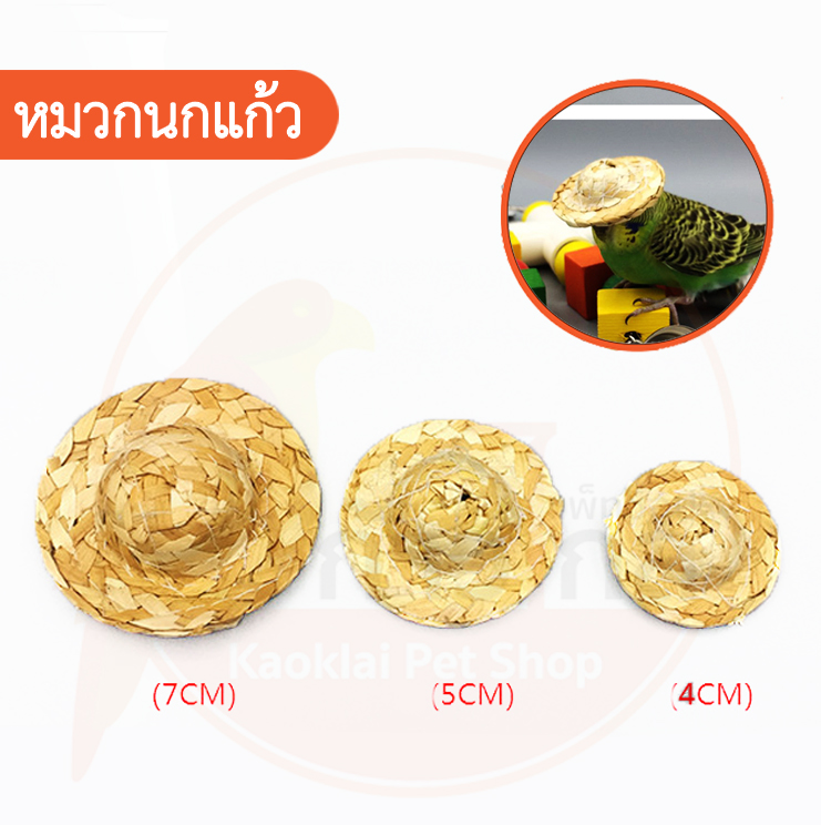 หมวกนกแก้ว ของเล่นนกแก้วน่ารักๆ สำหรับนกแก้วขนาดเล็ก-กลาง