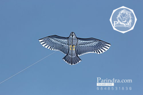 ว่าวนกอินทรีย์ ต่างประเทศ ขนาดปีก 1.5 เมตร น่าเล่นครับ