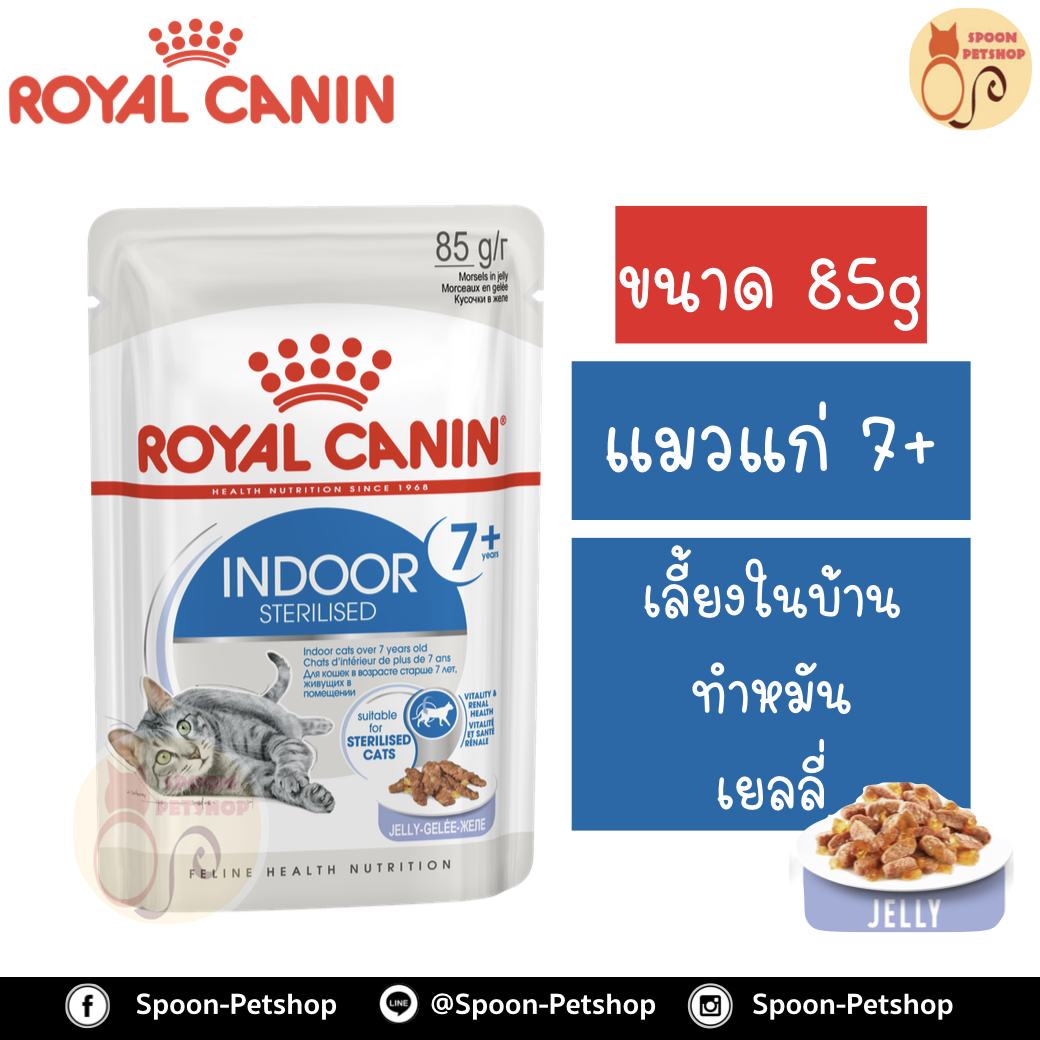 Royal Canin Indoor Sterilised 7+ Jelly อาหารแมว โรยัล คานิน แบบเปียก สำหรับแมวสูงอายุ 7 ปีขึ้นไป เลี้ยงในบ้าน ทำหมันแล้ว ในเยลลี่