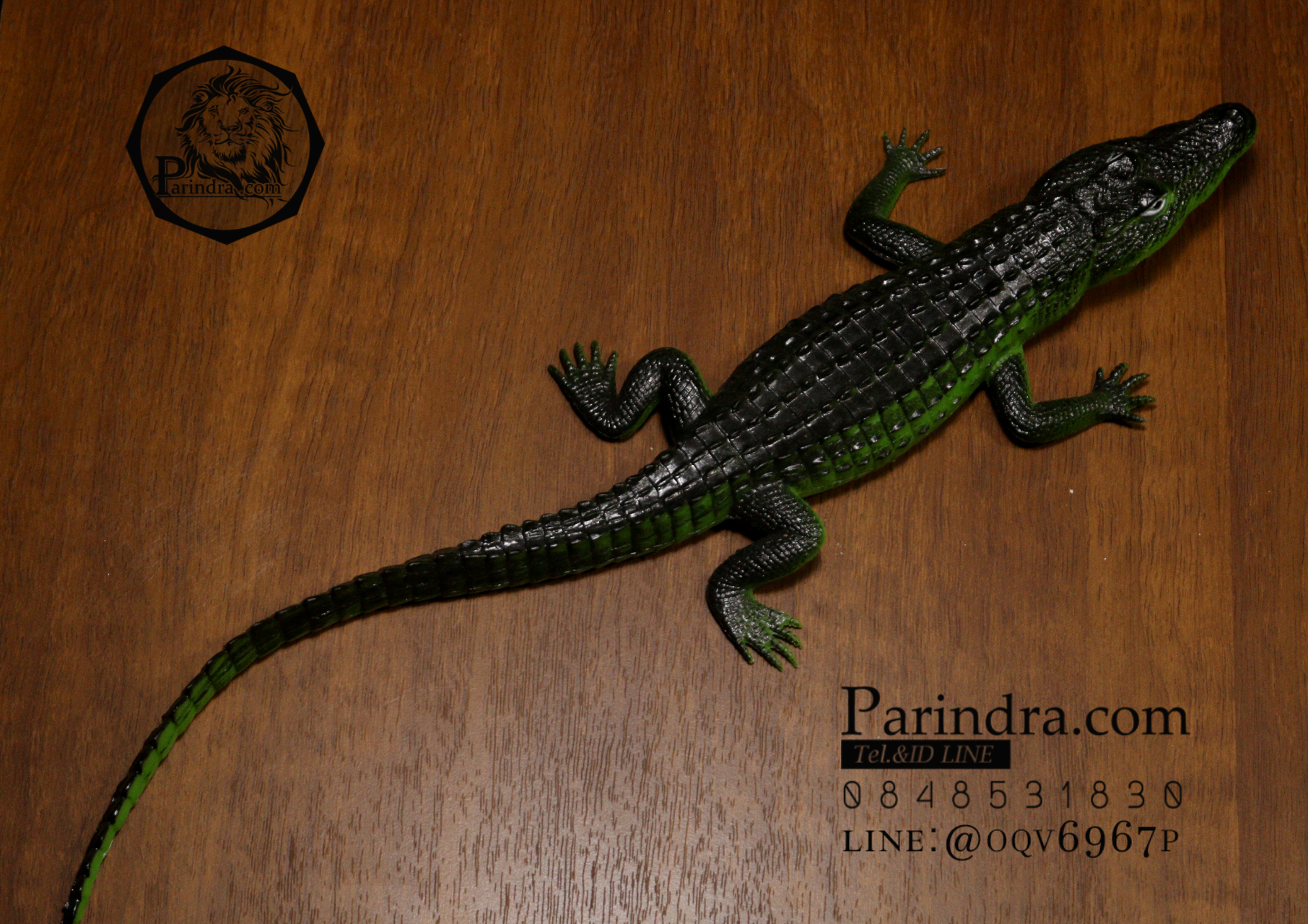 โมเดลจระเข้ สีเขียวอ่อน บีบมีเสียง ขนาดใหญ่ 16 นิ้ว ขนาดใหญ่