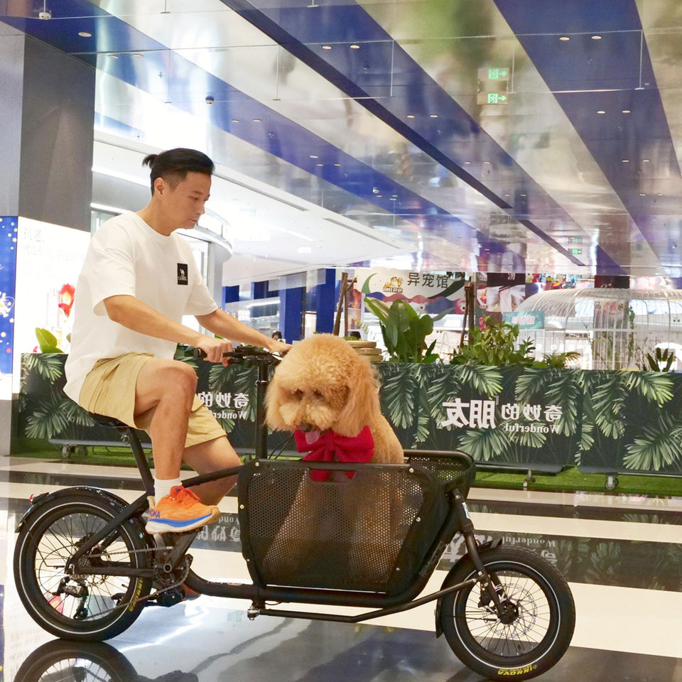 Atmose Mini Cargo 2025 – จักรยานไฟฟ้ามินิคาร์โก 3 รุ่น Hub Motor / Mid Drive / ธรรมดา | ล้อ 16/20 นิ้ว | รับน้ำหนัก 175kg