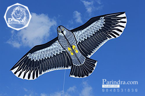 ว่าวนกอินทรีย์ ต่างประเทศ ขนาดปีก 1.5 เมตร น่าเล่นครับ