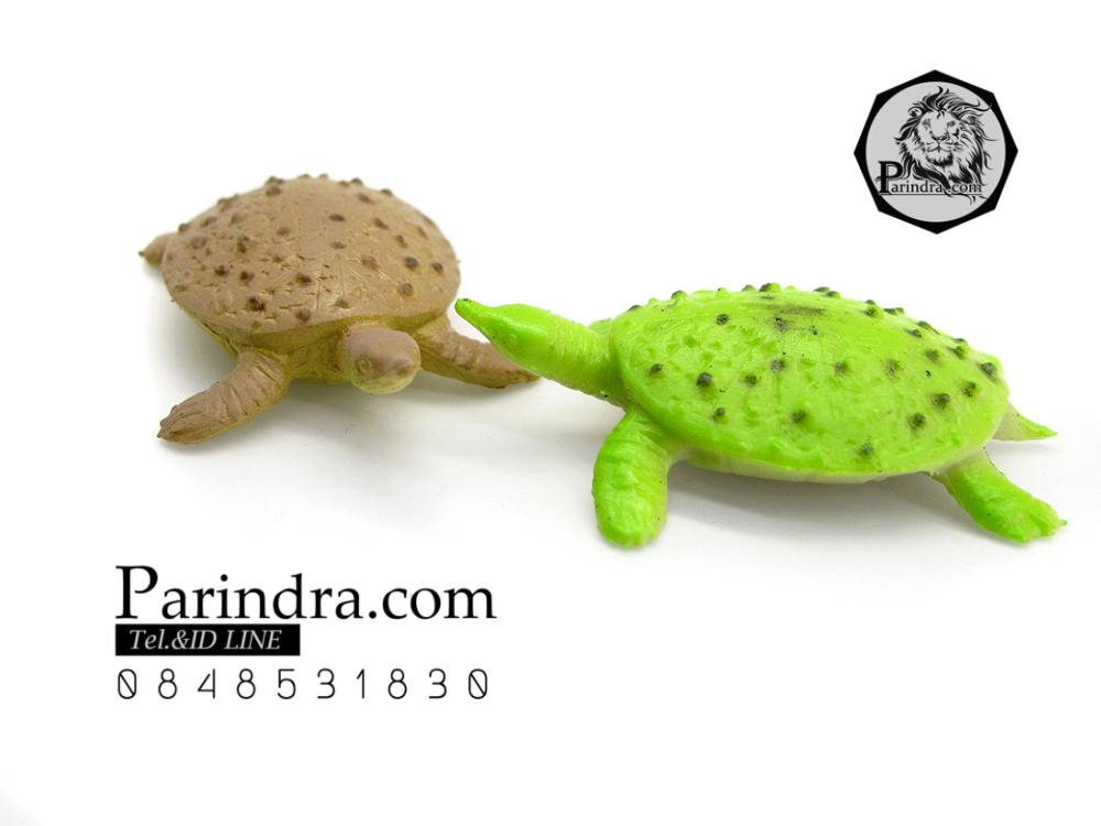 โมเดลตะพาบน้ำ ชุดคู่สองตัว