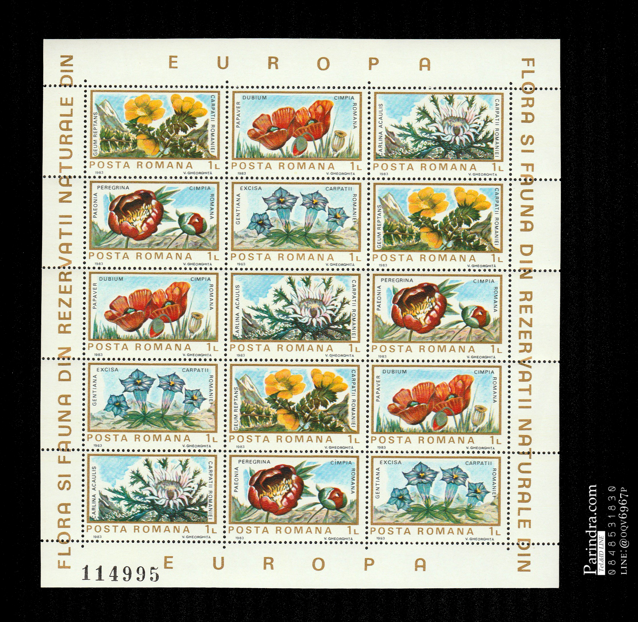 แสตมป์โรมาเนีย ชุด FLORA ดอกไม้แห่ง โรมาเนีย ปี 1983 - ROMANIA