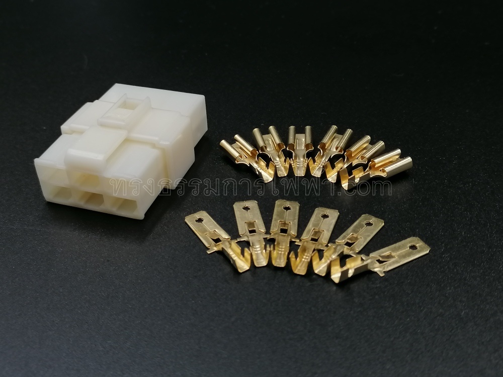 ช็อกเก็ต+หางปลา 6P(ใหญ่)