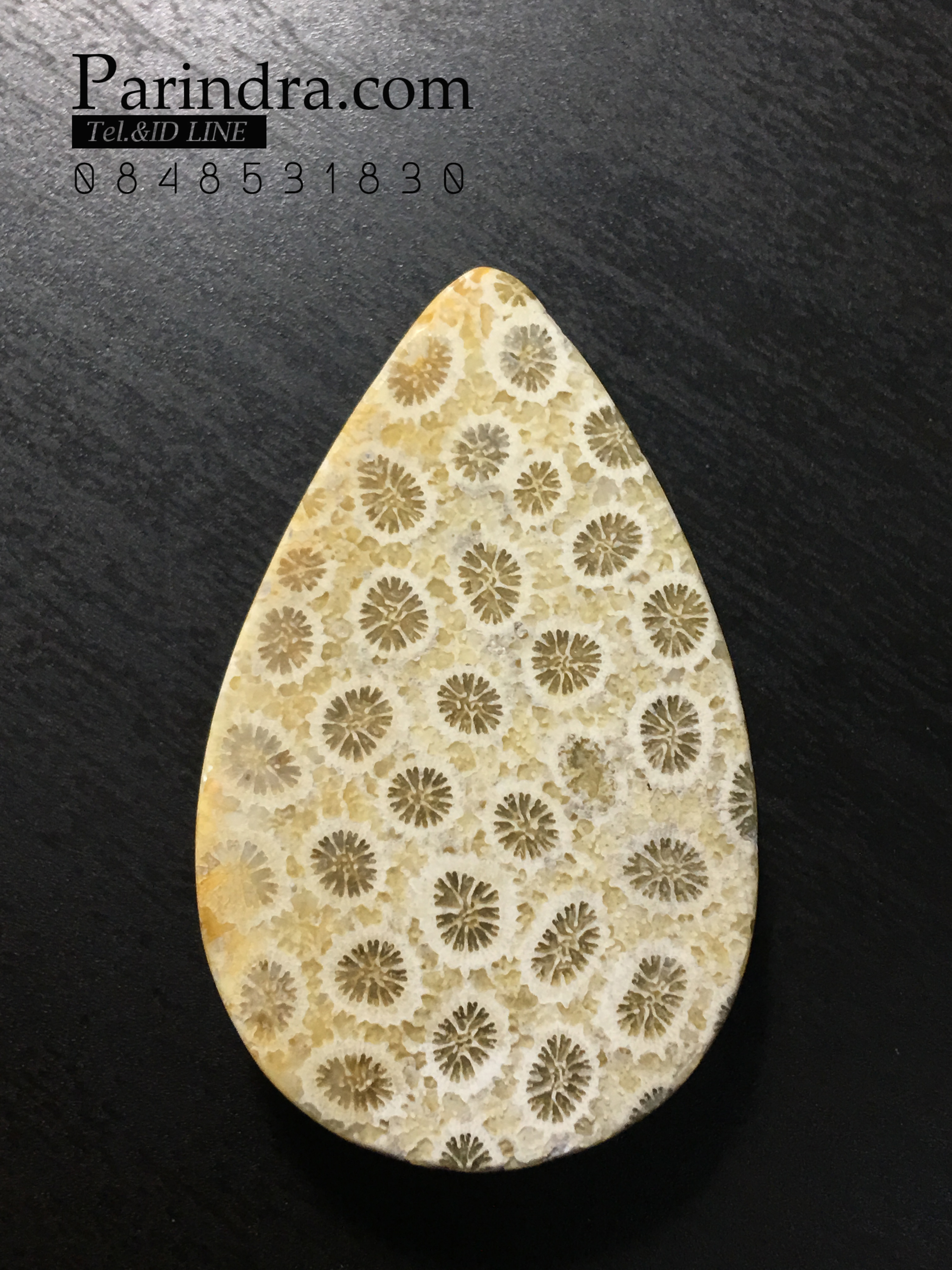 ฟอสซิลหินปะการังขัด Fossil Coral ใหญ่และหนา สำหรับห้อยคอ หรือ พวงกุญแจ คัดสวยพิเศษ #CRF034