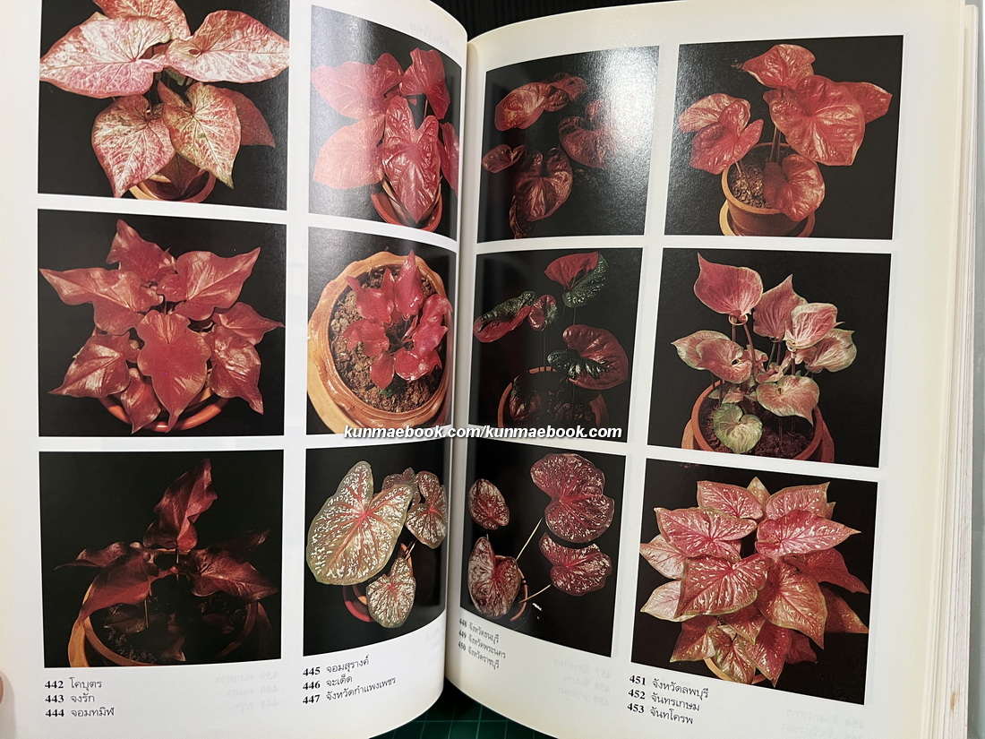 สารานุกรมไม้ประดับในประเทศไทย เล่ม 1-2 ( ปกแข็ง )