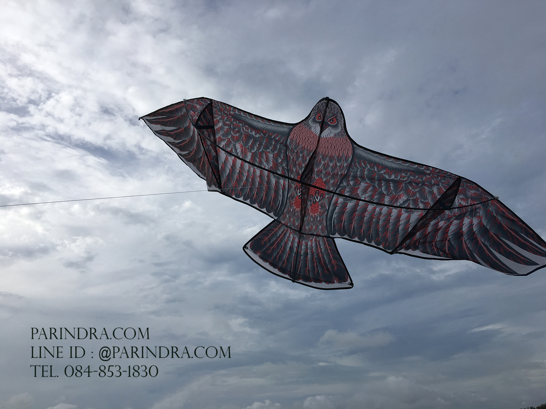 ว่าวนกอินทรีย์ ต่างประเทศ ขนาดปีก 1.9 เมตร น่าเล่น