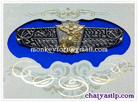 เครื่องหมาย ปีกทหารเรือ