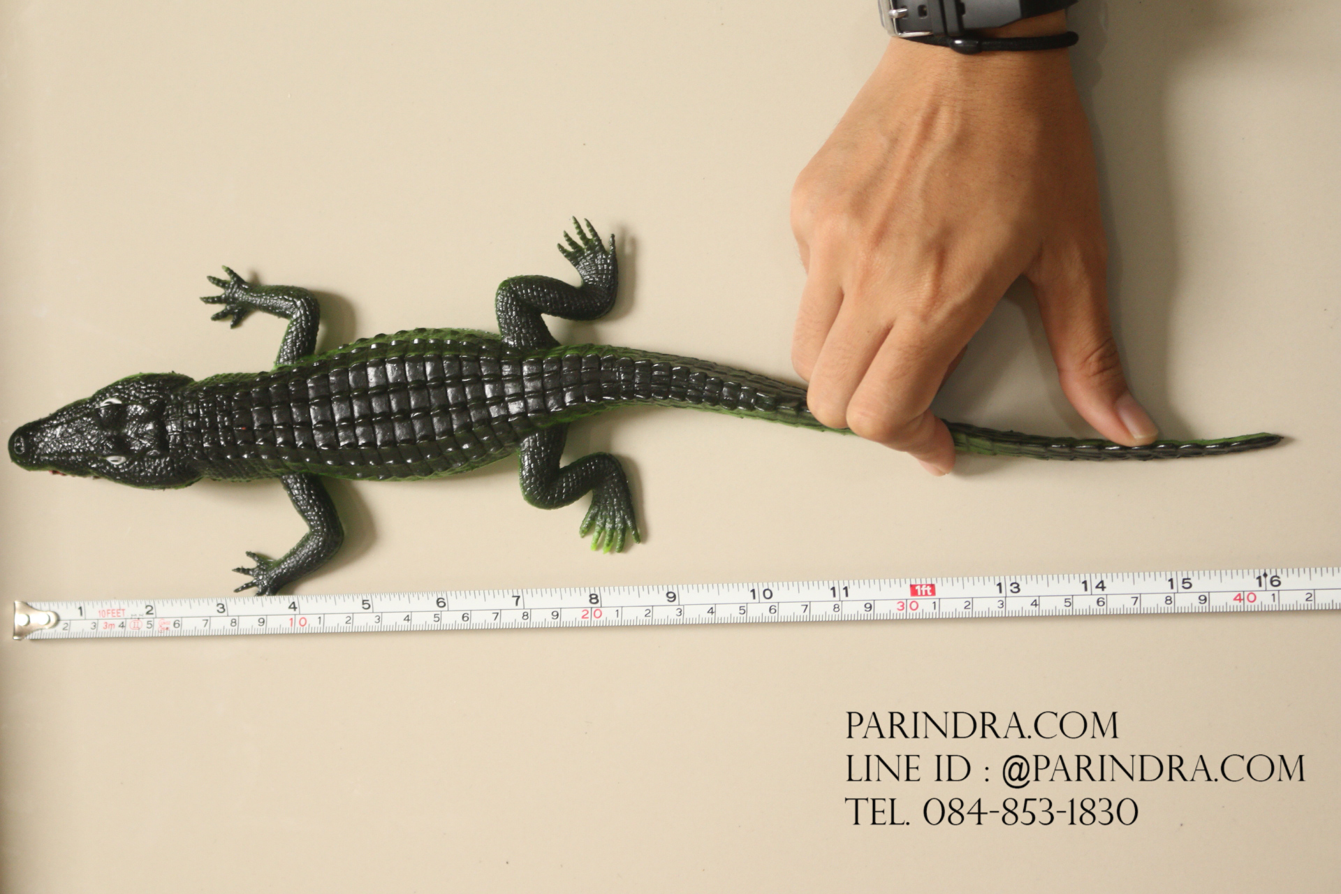 โมเดลจระเข้ สีเขียวอ่อน บีบมีเสียง ขนาดใหญ่ 16 นิ้ว ขนาดใหญ่