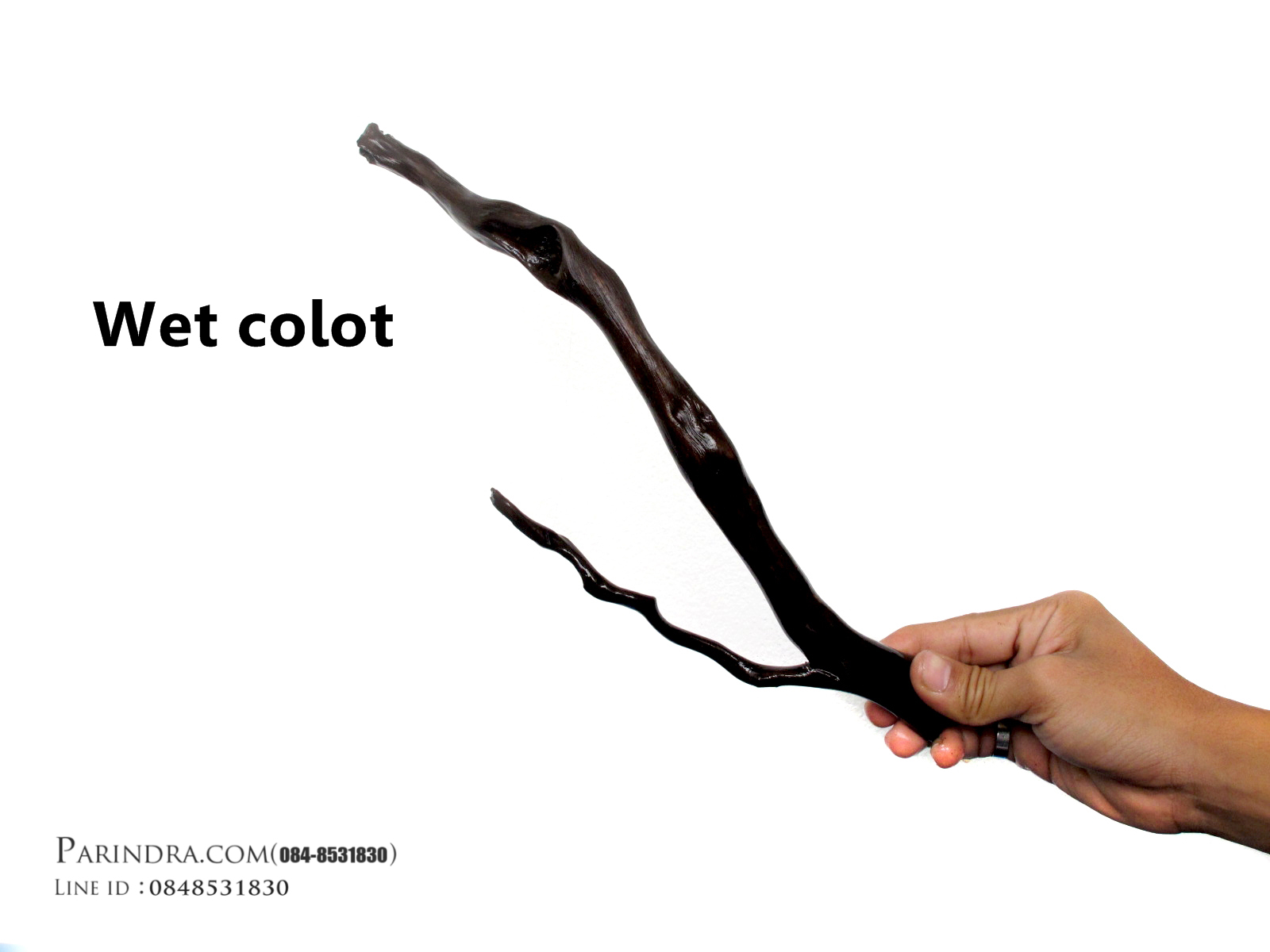 ขอนไม้ตกแต่งตู้ปลาหรือใช้เลี้ยงสัตว์เลื้อยคลาน 016