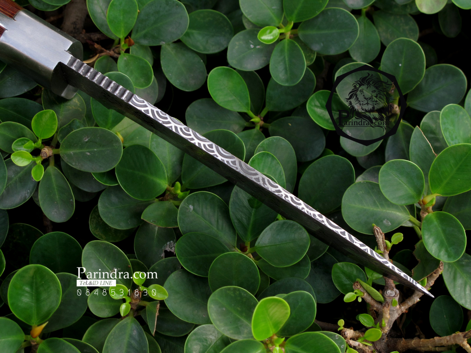 มีดใบตาย Blackfox แบบกัดลายรูปคลื่น Black FOX (Corrosion Pattern)ขนาด 12 นิ้ว