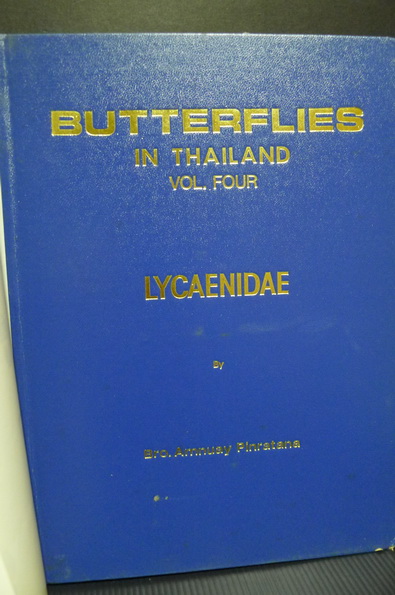 Butterflies in Thailand Volume 4