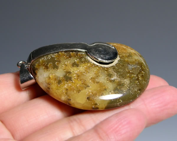 จี้สร้อยคอฟอสซิลหอยแอมโมไนท์ สำหรับห้อยคอ หรือพวงกุญแจ ACC1