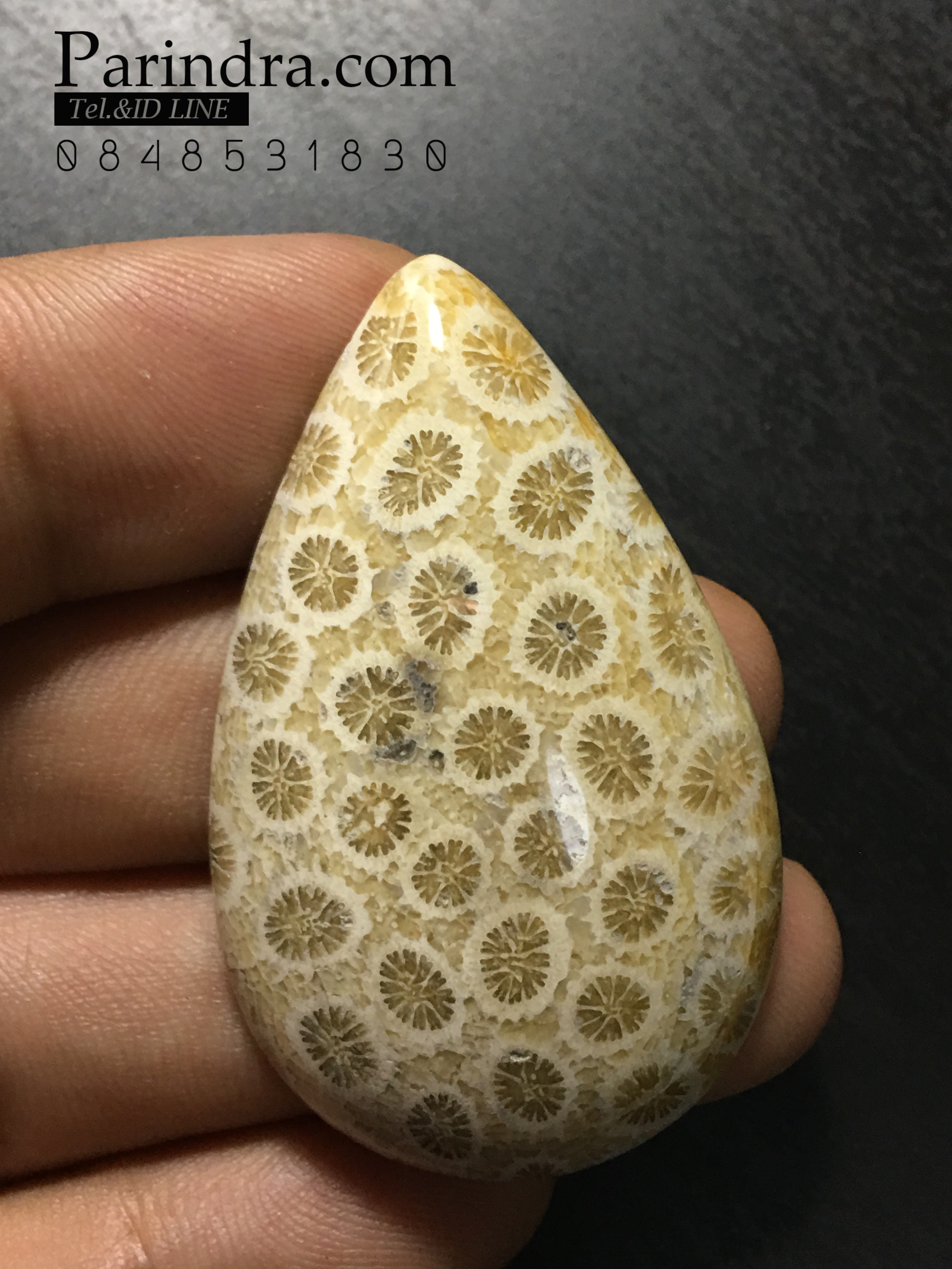 ฟอสซิลหินปะการังขัด Fossil Coral ใหญ่และหนา สำหรับห้อยคอ หรือ พวงกุญแจ คัดสวยพิเศษ #CRF034