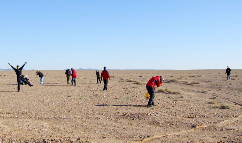 หินรูปทรงประหลาดจากทะเลทรายโกบี GOBI Eye Stone #GOBI003
