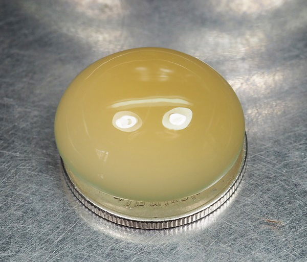 คาลซิโดนีสีเหลือง (Yellow Chalcedony) 24.25 กะรัต