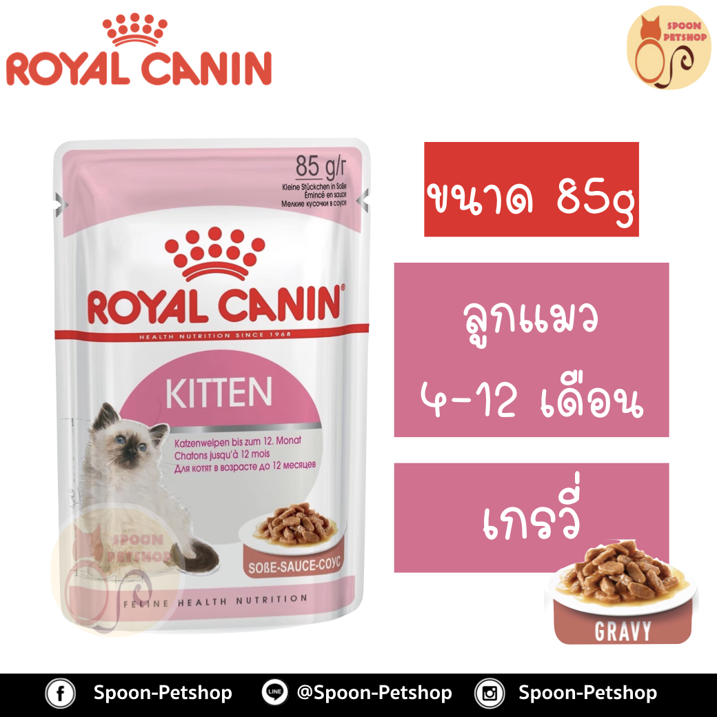 Royal Canin Kitten Instinctive 12 Gravy อาหารแมว โรยัล คานิน แบบเปียก สำหรับลูกแมว 4-12 เดือน และแม่แมว ในเกรวี่