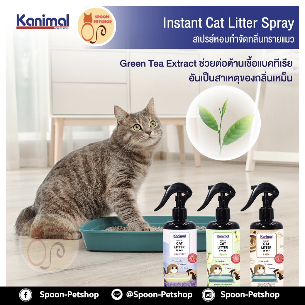 Kanimal Cat Litter Spray สเปรย์หอมกำจัดกลิ่น สเปรย์ทรายแมว สารสกัดจากชาเขียว กำจัดแบคทีเรีย สำหรับทรายแมวทุกชนิด กลิ่นสารสกัดจากชาเขียว 300ml