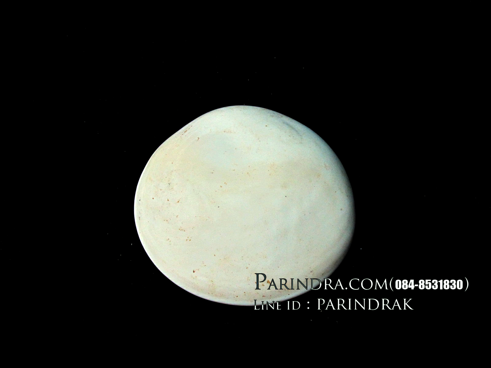 ฝาปิดหอยตาวัว(อิ่งอ้อย)