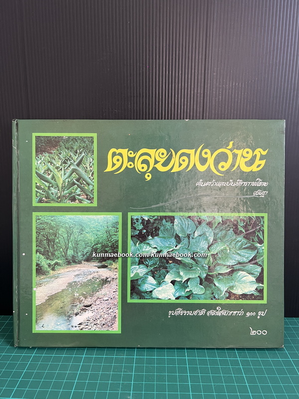ตะลุยดงว่าน ค้นคว้าและบันทึกภาพโดย เชษฐา