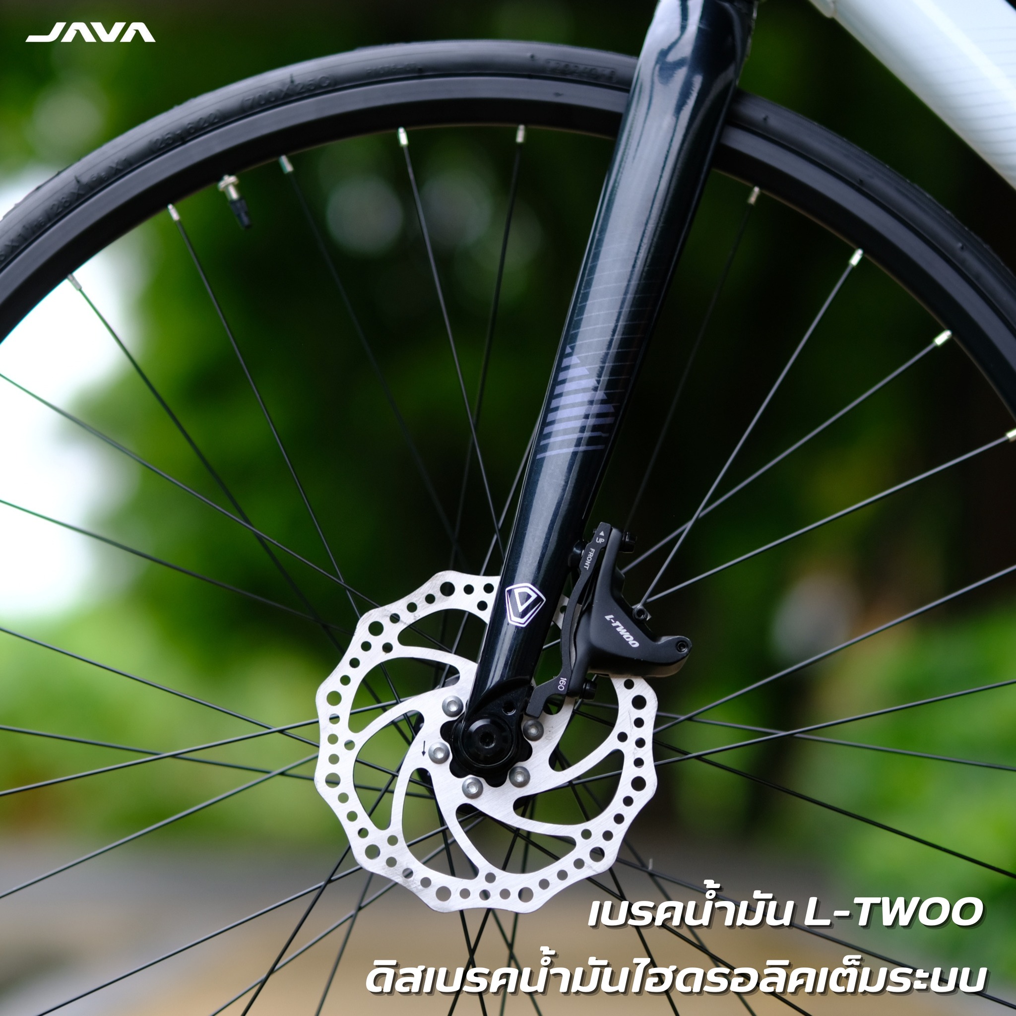 จักรยานเสือหมอบ JAVA VELOCE L-TWOO 16SP 2025 | เฟรมอลูมิเนียม ดีสเบรคน้ำมันไฮดรอลิกเต็มระบบ ล้อ 700C