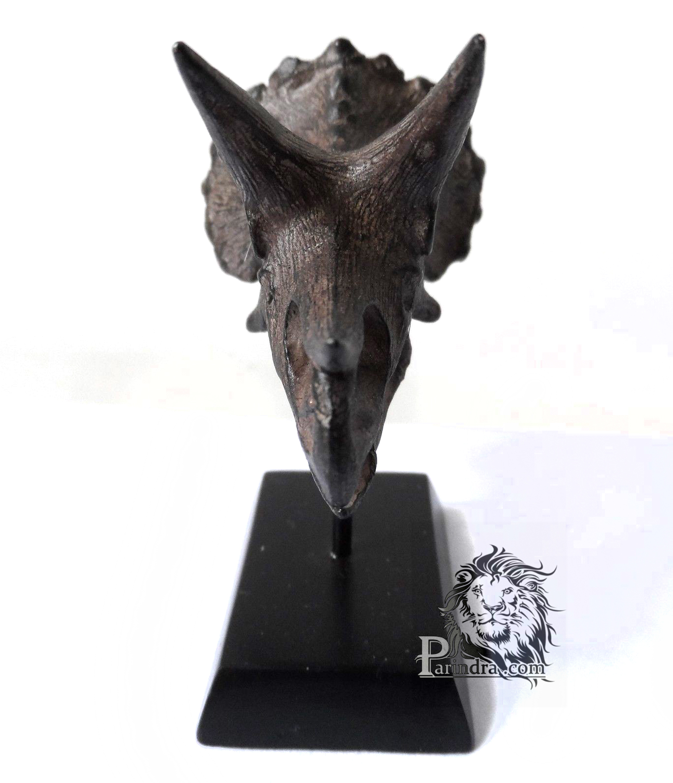 โมเดลฟอสซิล Triceratop ขนาดเล็กจำลองเหมือนมาก