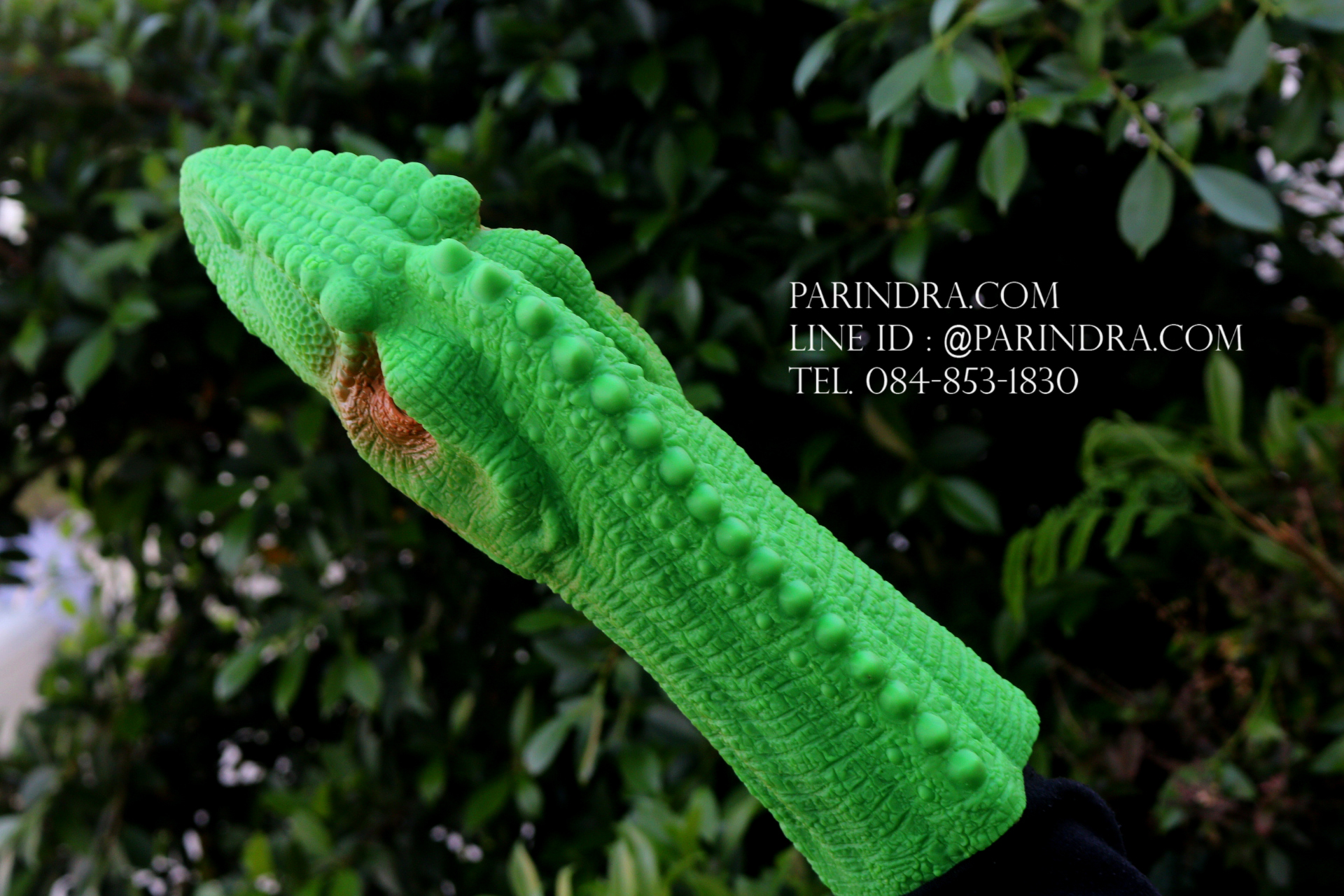 โมเดลถุงมือยาง หัวไดโนเสาร์ สีเขียว