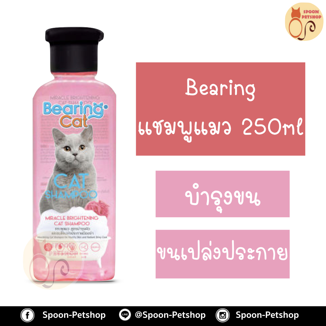 Bearing แชมพู อาบน้ำ แบร์ริ่ง สูตร บำรุงผิว และขนให้เปล่งประกาย สำหรับแมว 250ml