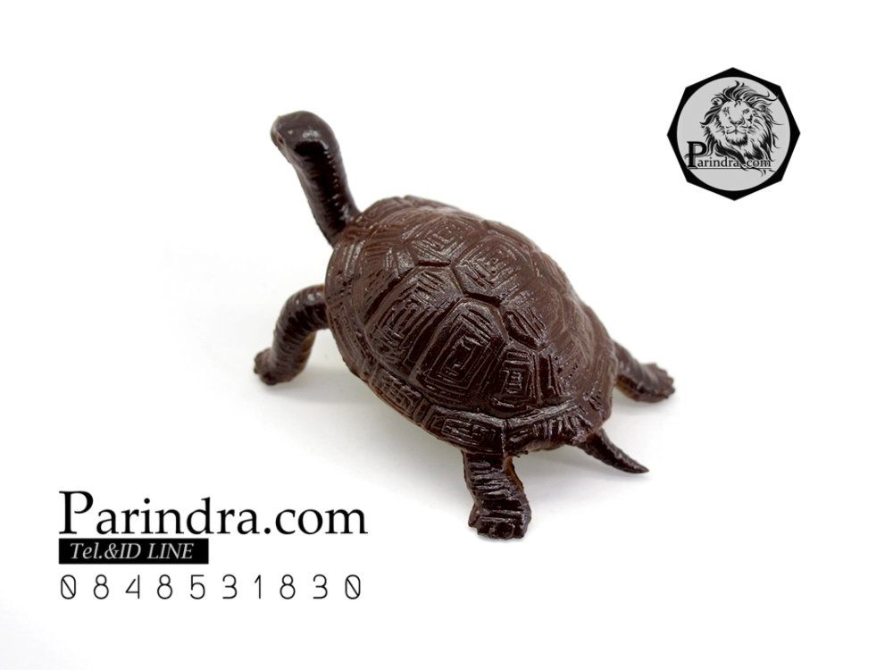 โมเดลเต่ายักษ์กาลาปากอส ชุดคู่สองตัว