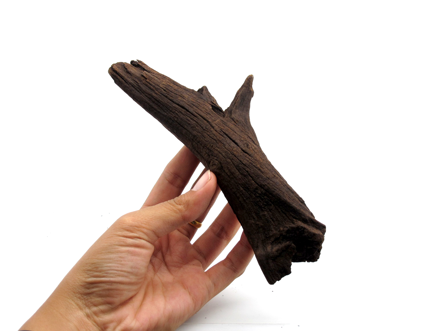 ขอนไม้ตกแต่งตู้ปลาหรือใช้เลี้ยงสัตว์เลื้อยคลาน 066