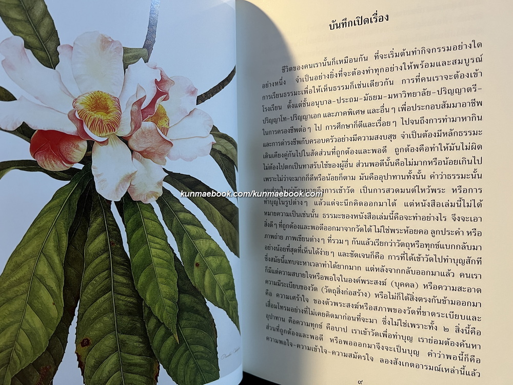 รู้ไว้ใช่ว่า ( 4 เล่ม Boxset ) กัลยาณี ลี้อิสระนุกูล เขียน