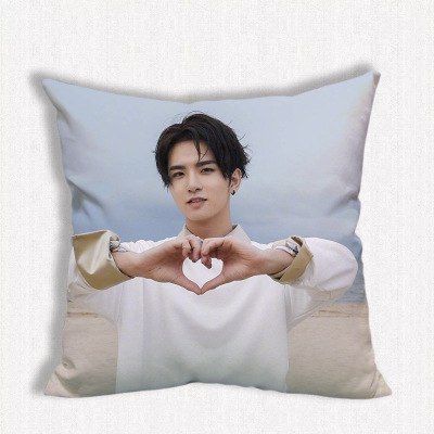 หมอน Caesar Wu (อู๋ซีเจ๋อ)