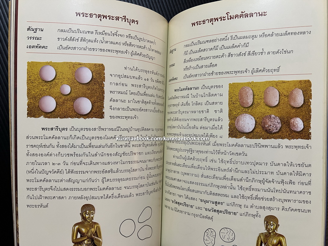 เรื่องเกี่ยวกับพระบรมสารีริกธาตุ / อนุสรณ์ พลตำรวจเอก อิทธิศักดิ์ คณะเจริญ