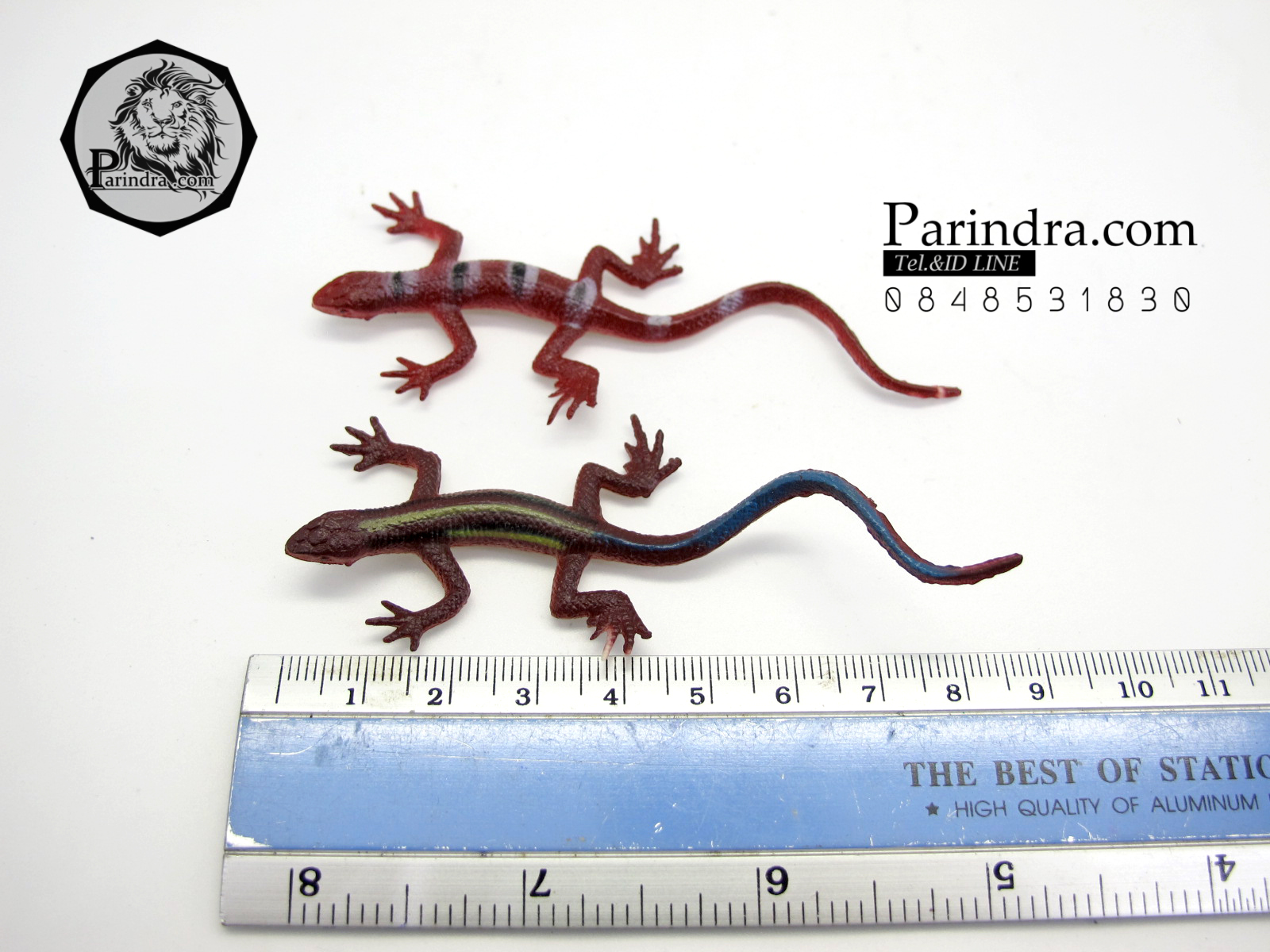 โมเดลกิ้งก่า Educational Toys LIZARD ครบชุด มี 12 แบบ จำนวน 12 ตัว