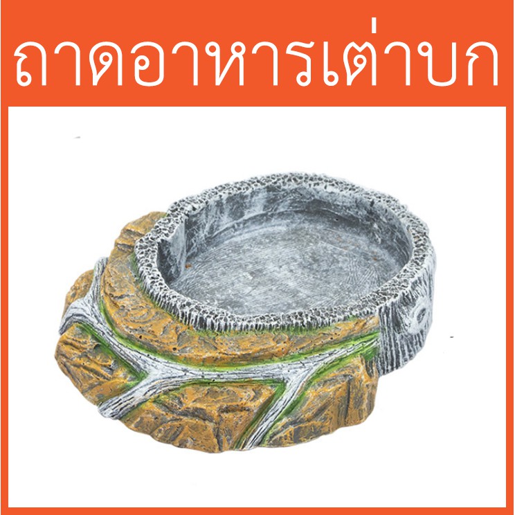 ถาดอาหารเต่า และสัตว์เลื่อยคลาน