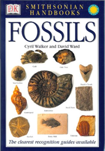 หนังสือคู่มือฟอสซิลของ Smithsonian Handbooks: Fossils (หนังสือใหม่)