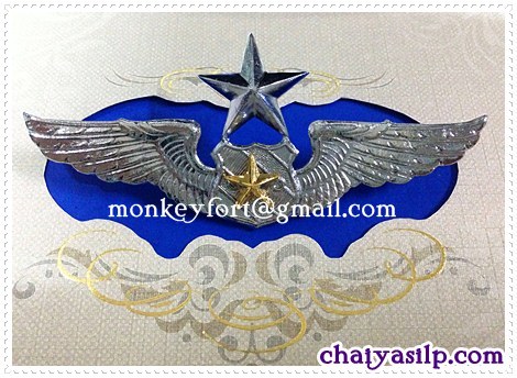 เครื่องหมาย ปีกทหารอากาศ
