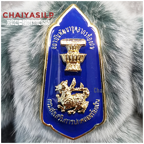 เข็มวิทยะฐานะ สถาบันพัฒนาบุคลากรท้องถิ่น (สพบ.)